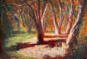 Circle of Trees by Christopher Clark | Oil on Panel Depiction of trees in a sunlit forest.