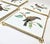 Mid 20th Century Gold Framed Bird Tile Trivets- Set of Four For Sale - Image 5 of 9