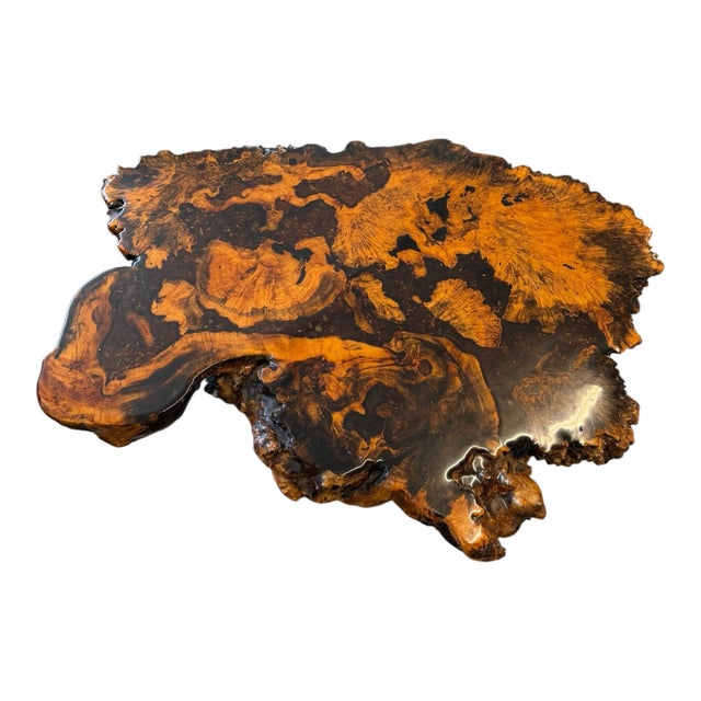 1970s 1970s Organic Burl Wood Live Edge Coffee Table With Sculptural Root Base For Sale - Image 5 of 8