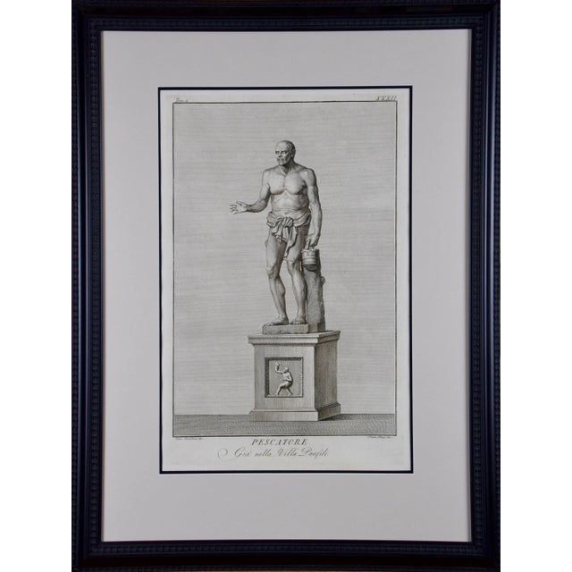 A grouping of three antique engravings depicting statues found in the Vatican, including: "Pescatore" (Fisherman),...