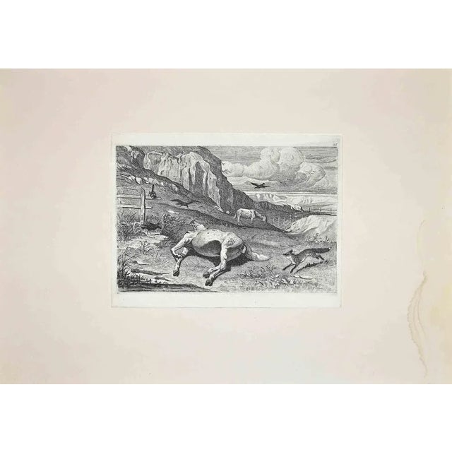 Roman Countryside is an original etching artwork realized after Charles Coleman (1807, Yorkshire - 1874, Roma) in 1992....