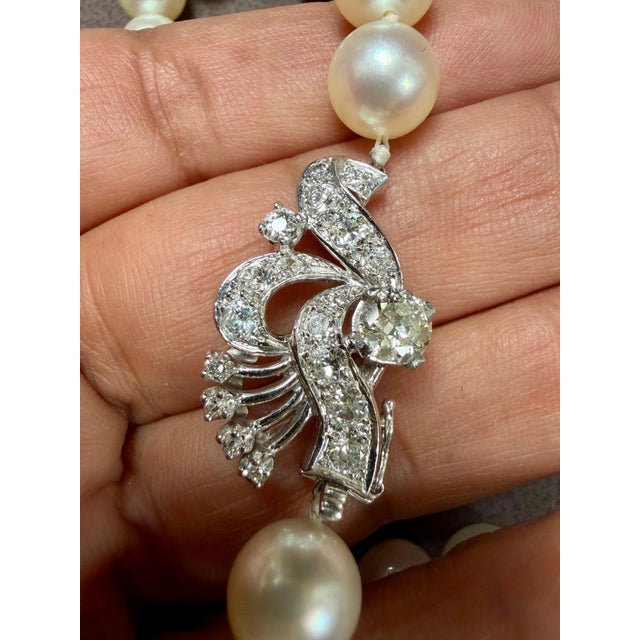 8mm Akoya Japanese Pearl Single Strand Choker Necklace, 18k White Gold & Diamond For Sale - Image 4 of 8