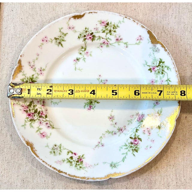 A rare vintage pair of Theodore Haviland Limoges porcelain china plates. Haviland China has so many patterns that...