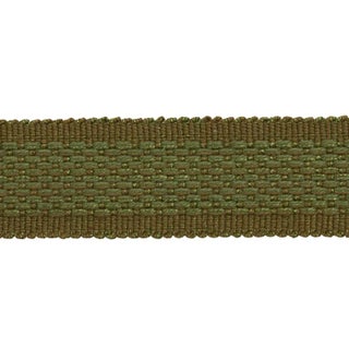 Schumacher Cardiff Tape Medium in Green For Sale