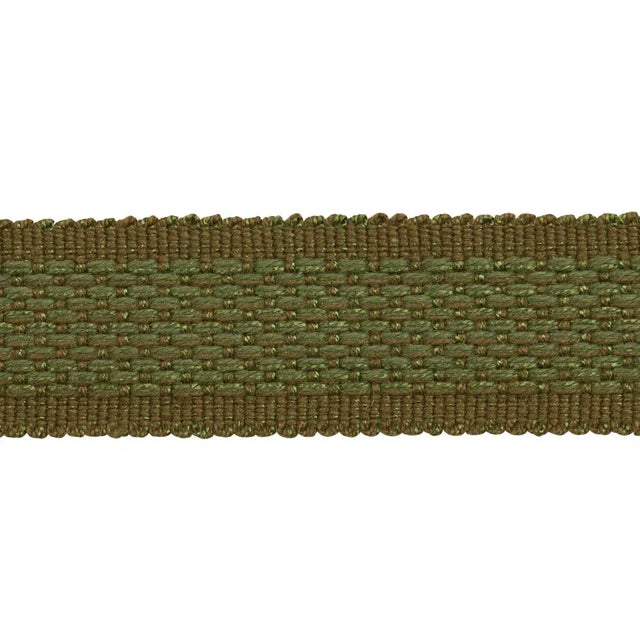 Schumacher Cardiff Tape Medium in Green For Sale