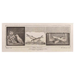 Raffaele Barone, Decoration with Animals, Etching, 18th Century For Sale