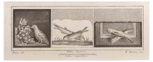 Raffaele Barone, Decoration with Animals, Etching, 18th Century