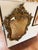 Elaborate gilt-finished wall mirror featuring an asymmetrical scrolling frame with floral and foliate detailing. It’s...