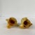 Light Yellow Antique Early 20th Century Celluloid Tiny Owl Figurines - a Pair For Sale - Image 8 of 9