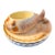 Brown Sarreguemines Mid Century Set of 4 Fish-Shaped Majolica Plates and Sauce Boat, Circa 1950 For Sale - Image 8 of 8