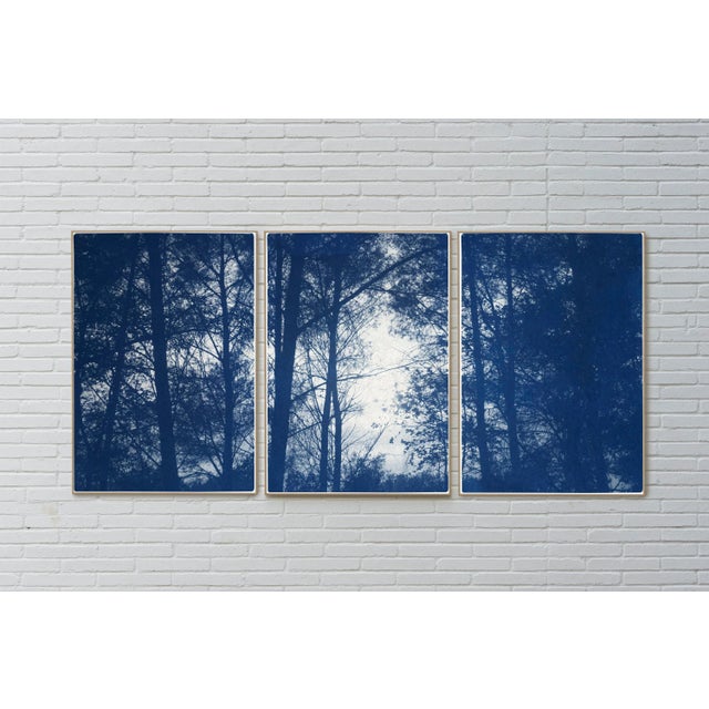 Paper 2021 "Forest Silhouette Sunset" Forest Landscape Cyanotype Triptych Print on Watercolor Paper - Set of 3 For Sale - Image 7 of 8