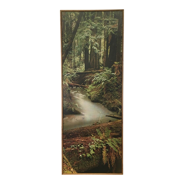 70s Boho Forest Photograph Wall Hanging For Sale
