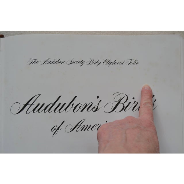 1981 Signed Audubon's Birds of America: The Audubon Society Baby Elephant For Sale - Image 16 of 18