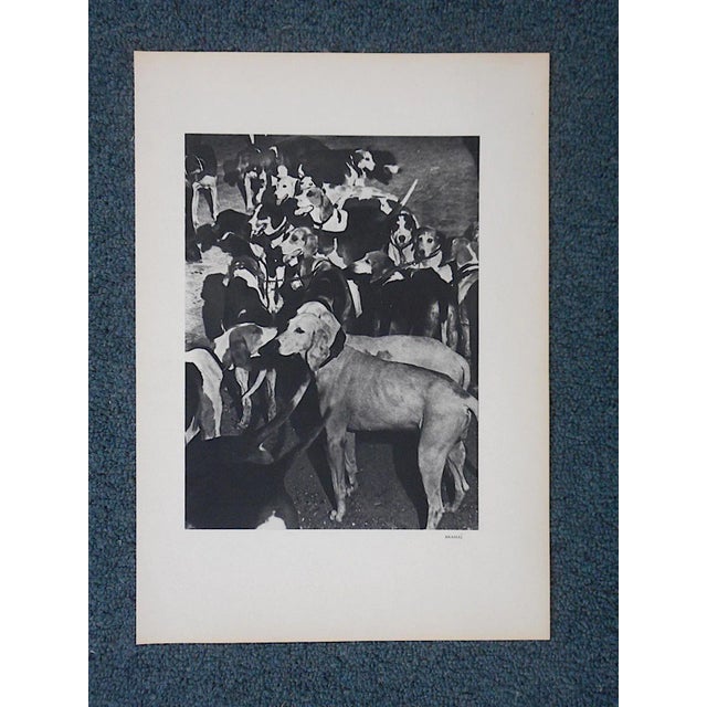 Captivating mid 20th century heliogravure photos by Brassai printed by Neogravure on wove paper for the 1939 issue of the...