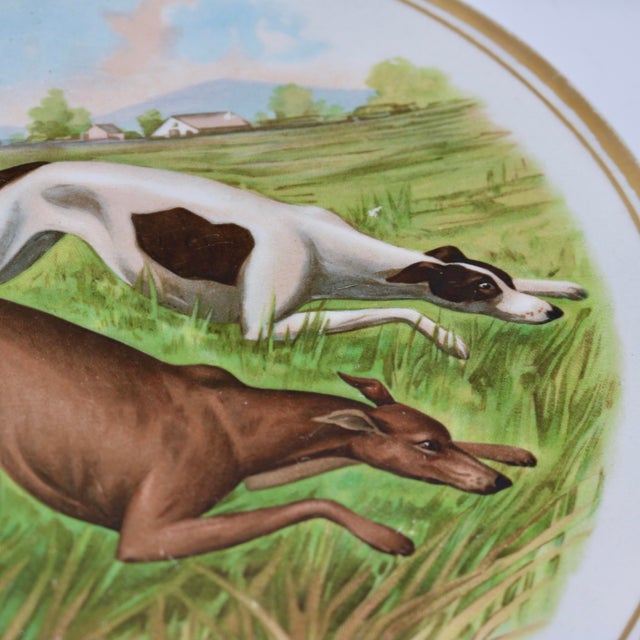 Green Antique 10" r.k. Beck Sporting Hound Porcelain Cabinet Plate - Circa 1910 For Sale - Image 8 of 12