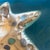 2010s Charming Starfish-Shaped Coastal Decor Tray With Real Mixed Seashells For Sale - Image 5 of 7