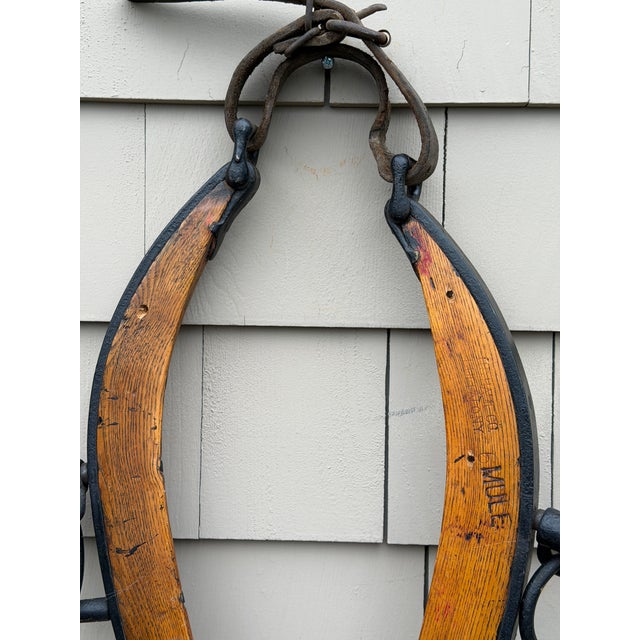 Antique u.s. Hame Co. Buffalo Ny Mule Hames – Original Wooden & Iron Harness Pair c.1900–1925 – Rustic Farmhouse Wall Decor For Sale - Image 4 of 18