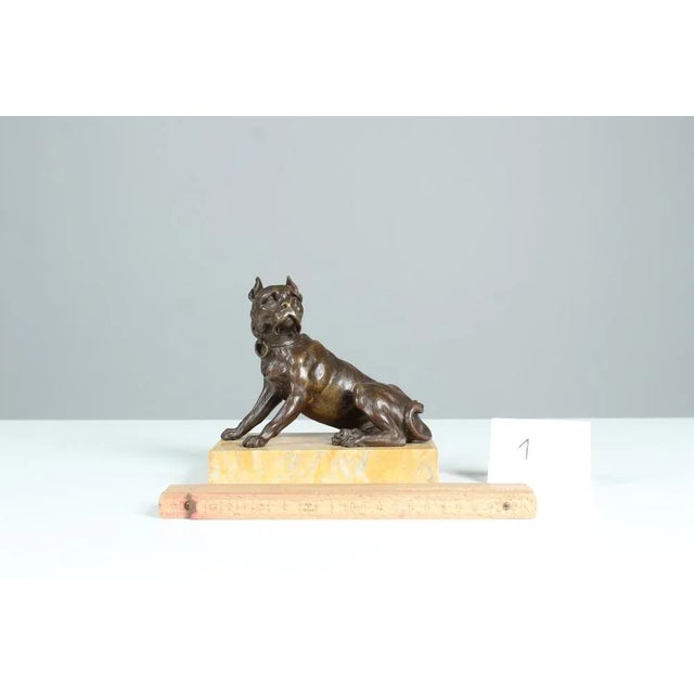 Metal Antique Bronze Bulldog, Late 19th Century For Sale - Image 7 of 8