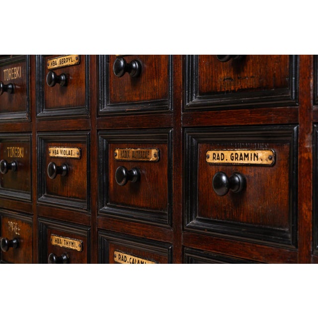 Wood 20th Century Apothecary Chest of Drawers in Oak Wood, 1920s For Sale - Image 7 of 11