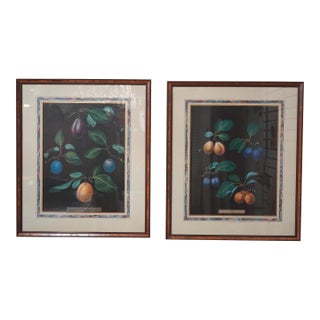Pair of Fruit Prints by George Brookshaw For Sale