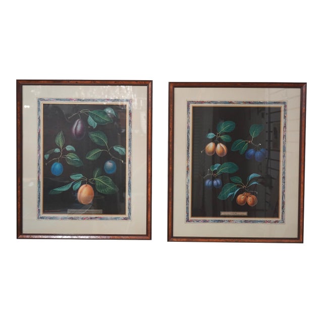 Pair of Fruit Prints by George Brookshaw For Sale
