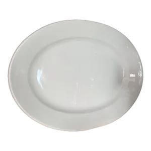 Antique Richard Alcock English Ironstone China Platter