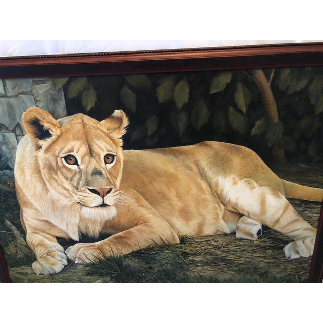 Michigan artist Jim Johnson rendering of “Kayla” the female African lion reclining . Signed lower right corner . Measures...