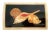 Modern Jewelry Box Seashells Marble Inlay For Sale - Image 3 of 10