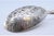 Silver Dusting Spoon with Engraved Wavy Handle, in Very Good conditions. Designed before 1890 This piece has an...