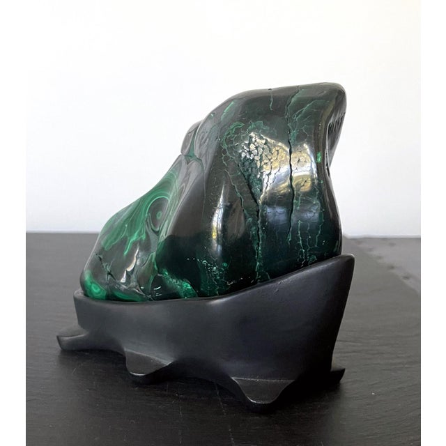 A malachite specimen with intense green and black colors fitted on a wood stand. The botryoidal form was polished in the...