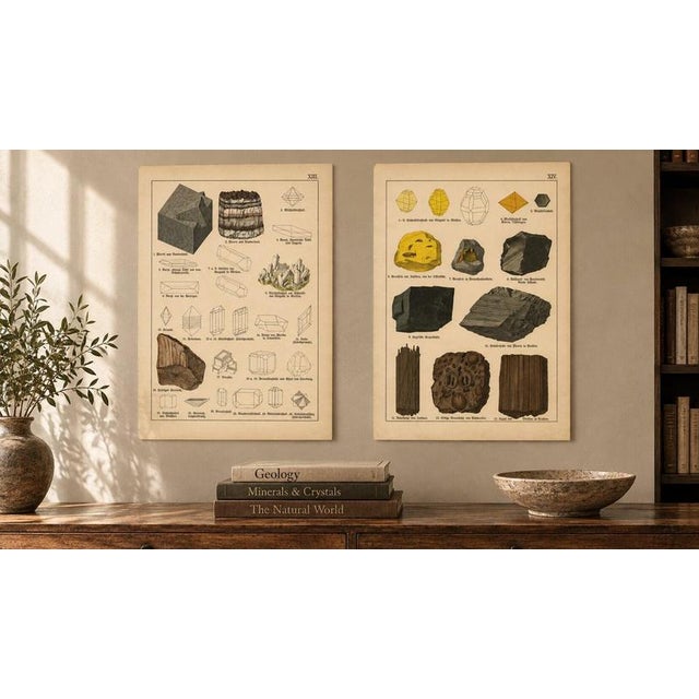 Kenngott, Set of Two Mineralogy Chromolithographs, Fluorite, Amber & Coal, 1888, Paper For Sale - Image 9 of 10