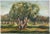 1990s Pino Romanò, Olive Grove in Salento, Oil Painting, 1990s For Sale - Image 5 of 5