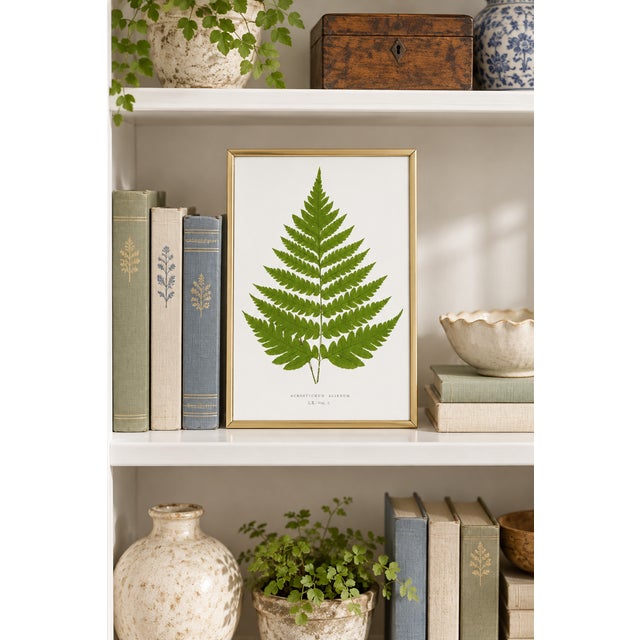 Contemporary Fern Art Print – Vintage Green Botanical Illustration, 8" X 12" For Sale - Image 3 of 8