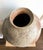 Large Japanese Contemporary Shigaraki Tsubo with Tomobako by Shiro Tsujimura For Sale - Image 11 of 18