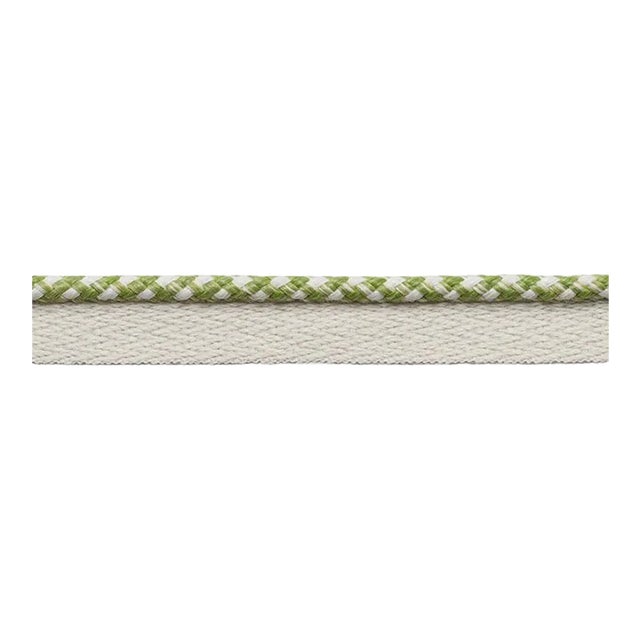 Schumacher Keaton Lip Cord Indoor & Outdoor in Leaf For Sale
