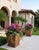 Terra Cotta Pair of Grand Tuscan Style Terracotta-Toned Cast Stone Planters For Sale - Image 8 of 12
