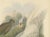 Silver Pheasant by Gould, 1850, Paper For Sale - Image 3 of 5