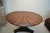Art Nouveau 19th Century French Art Nouveau Cross Section Walnut Table For Sale - Image 3 of 8