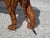 Vintage Leather Tiger, 1960s For Sale - Image 10 of 12