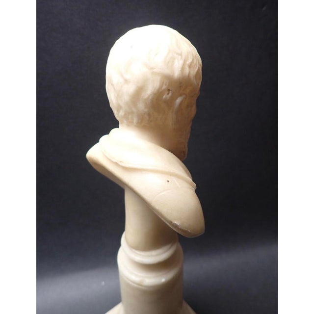 Alabaster 19th Century Italian Antique Carved Alabaster Grand Tour Portrait Bust of Michelangelo Buonarroti For Sale - Image 8 of 9