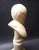 Alabaster 19th Century Italian Antique Carved Alabaster Grand Tour Portrait Bust of Michelangelo Buonarroti For Sale - Image 8 of 9