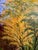 Inspired by Steve Schaaf’s Autumn Bridge Reflections Original Oil Painting For Sale - Image 10 of 11