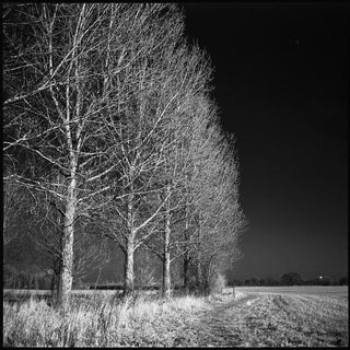 Paul Cooklin, West Thorpe I, Photograph For Sale