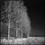 Paul Cooklin, West Thorpe I, Photograph For Sale