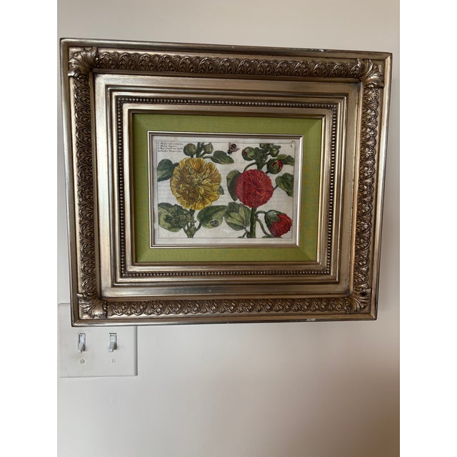 A finely rendered antique botanical plate depicts a double blossomed Hollyhock/Rosea/Tree Mallow. This engraving features...