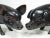 Wood Vintage Japanese Carved Lacquered Wooden Pigs- A Pair For Sale - Image 7 of 8