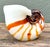 Vintage a Italian Murano Glass Nautilus Shell For Sale - Image 4 of 12