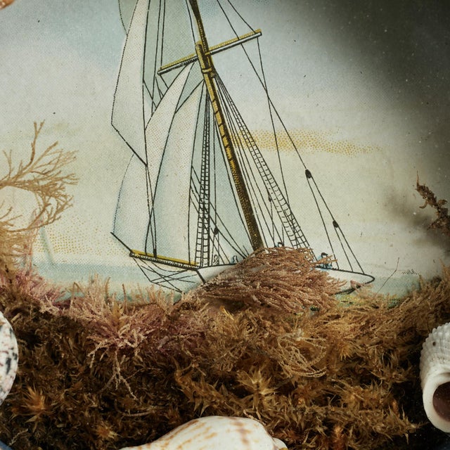 Shell Pair of Antique British Colonial Sailors Valentine For Sale - Image 7 of 17