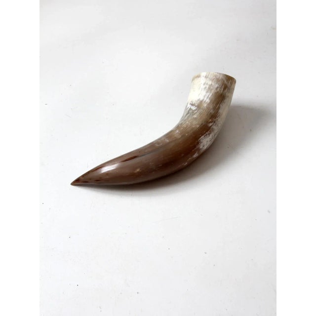Taupe Vintage Polished Horn For Sale - Image 8 of 12