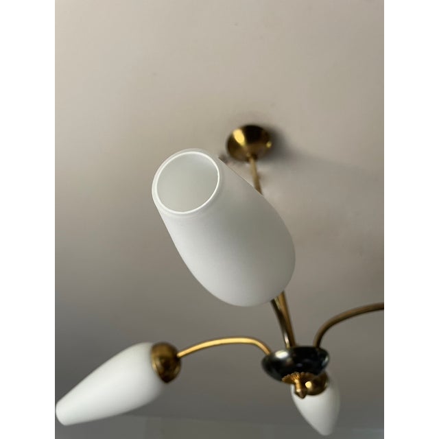 Arlus Chandelier with Four Tulips by Arlus, 1950 For Sale - Image 4 of 9